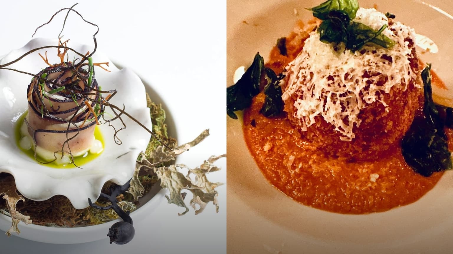 Best Restaurants in Halifax for Summer