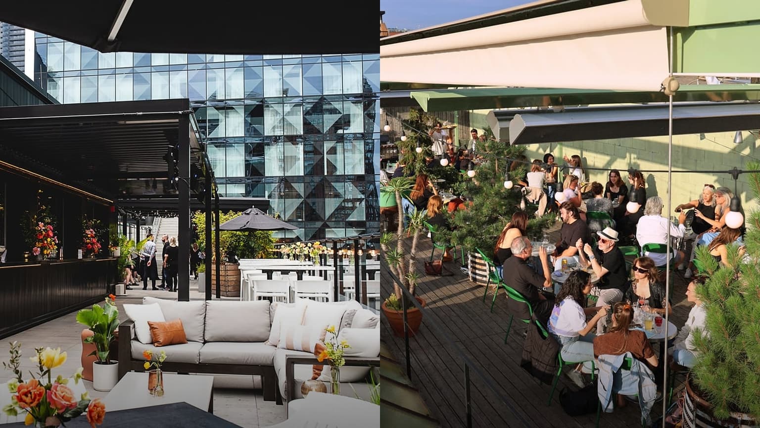 Best Rooftop Bars in Montreal for Spring 2026