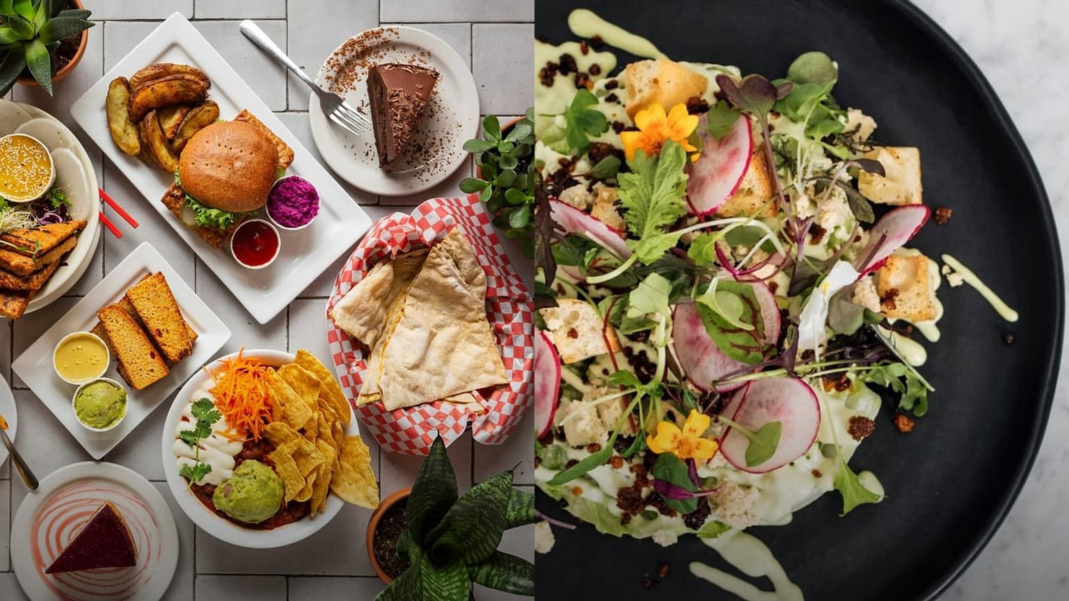 Best Vegetarian Restaurants in Montreal for Spring 2026