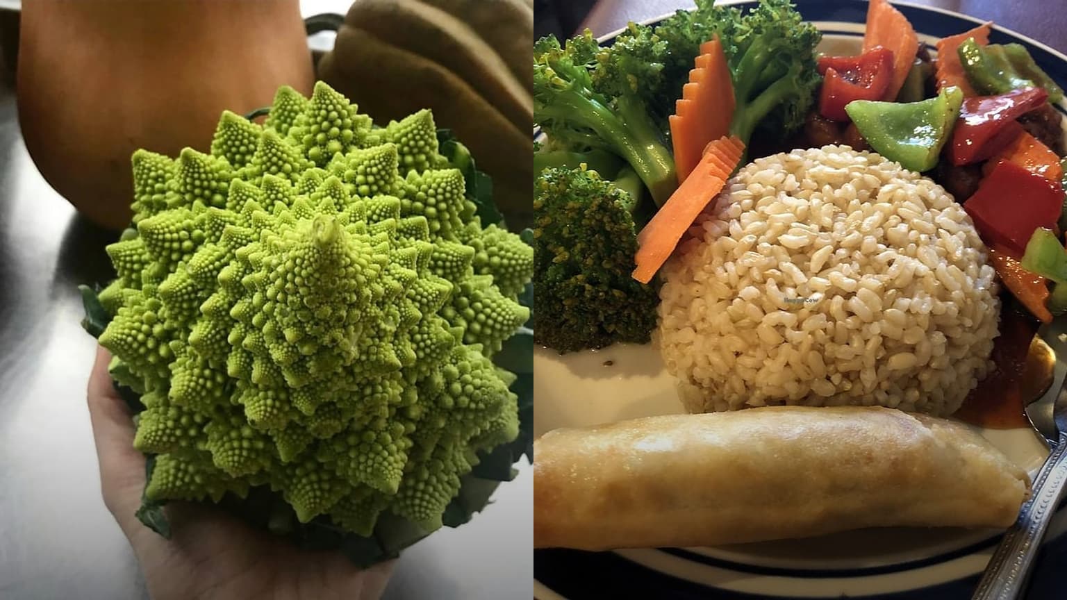 Best Vegetarian Restaurants in Winnipeg for Summer 2026