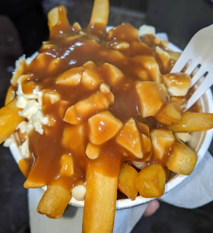 3 Brothers Shawarma & Poutine — best late night food in Ottawa, Spring 2026