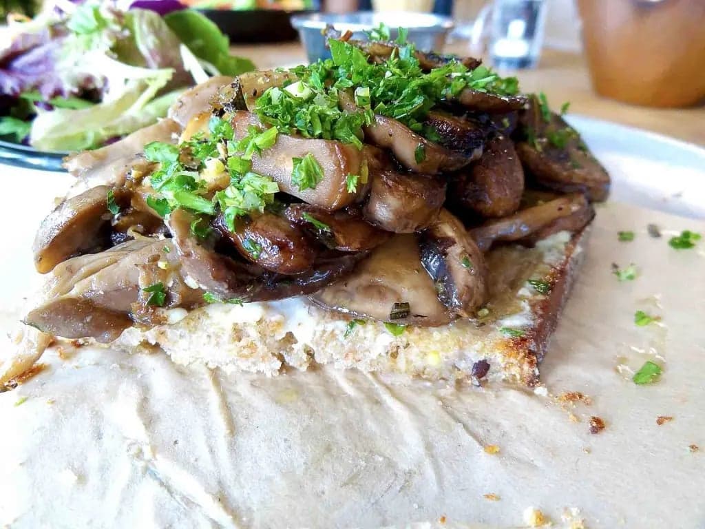 Brunch Vancouver — best vegetarian restaurants in Vancouver, Spring 2026