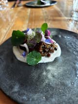Burdock & Co