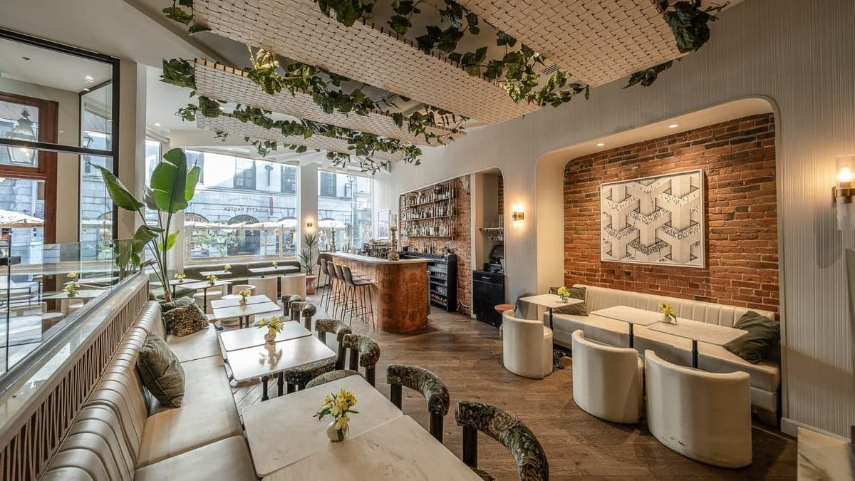 Buvette Pastek — best wine bars in Montreal, Spring 2026