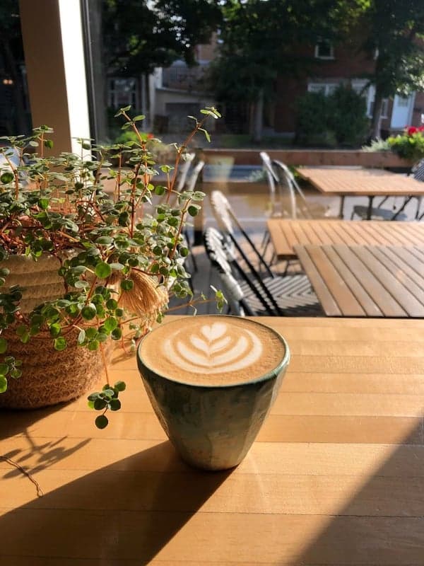Café La Maison Smith - Plaines d'Abraham — best coffee shops in Quebec City, Spring 2026