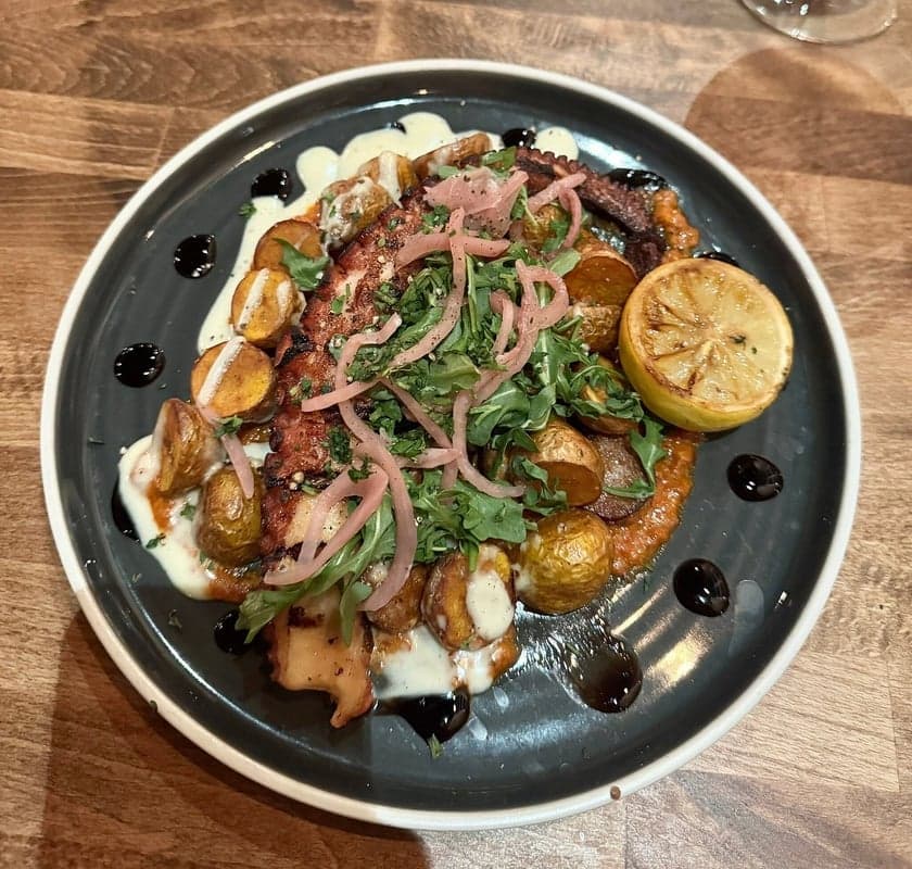 Cibo Waterfront Cafe — best weekday lunch in Winnipeg, Summer 2026