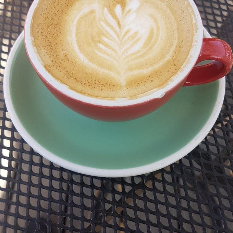 City Perks Coffeehouse — best coffee shops in Saskatoon, Spring 2026