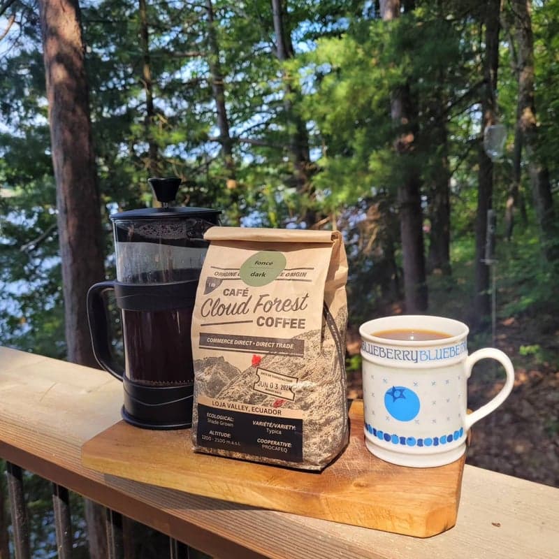 Cloudforest Coffee — best coffee shops in Ottawa, Spring 2026