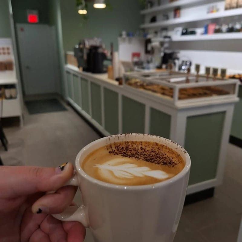 Cloudforest Coffee — best coffee shops in Ottawa, Spring 2026