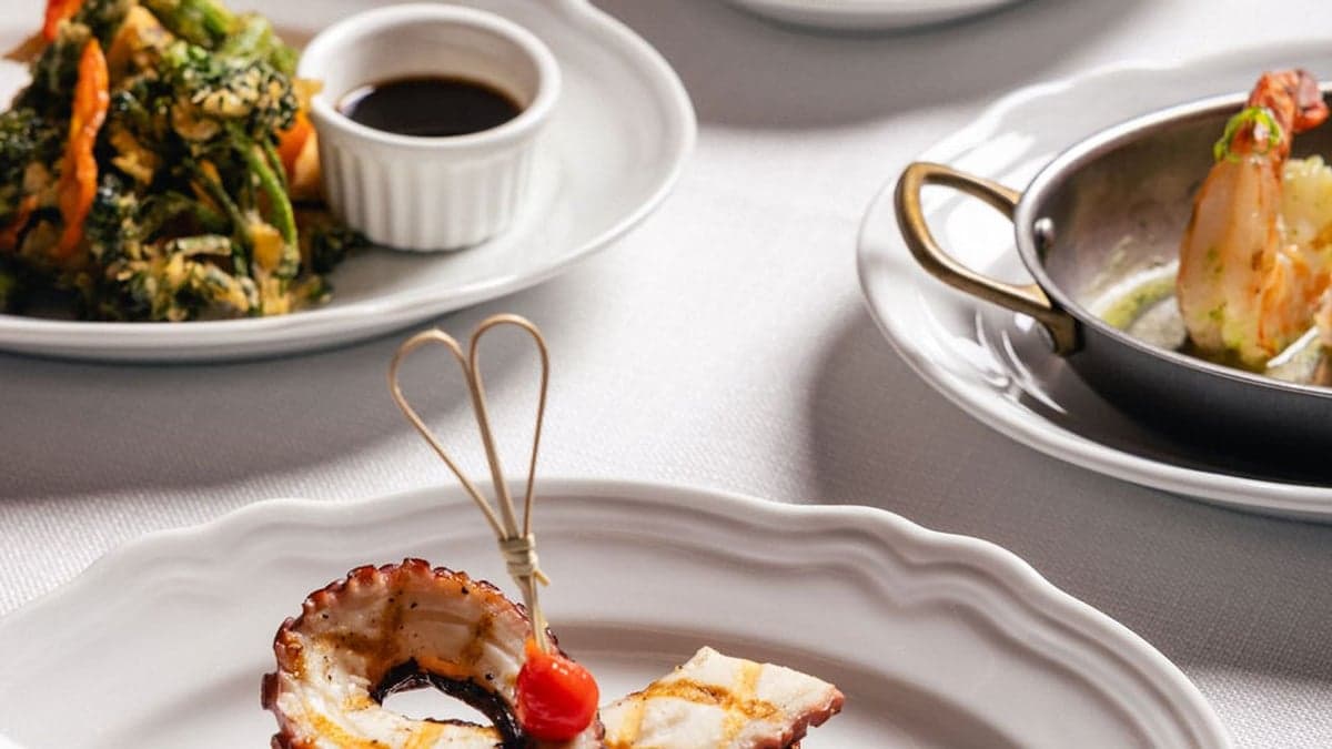 Convivium Dining Community — best date night restaurants in Toronto, Spring 2026
