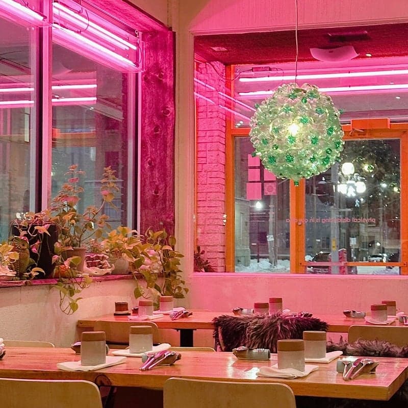 Deer + Almond — best special occasion restaurants in Winnipeg, Summer 2026