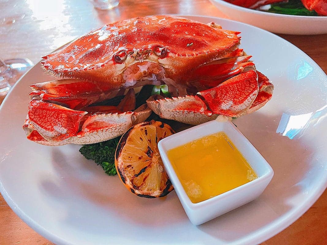 Finn's Seafood Chops Cocktails — best date night restaurants in Victoria, Spring 2026