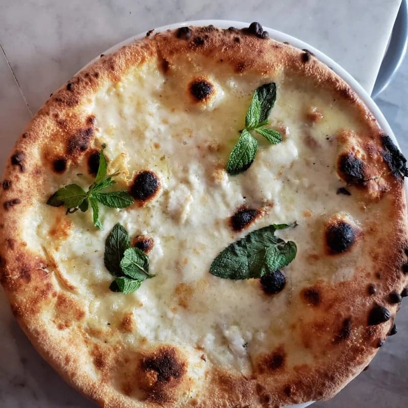 Gema Pizzeria — best kid friendly restaurants in Montreal, Spring 2026