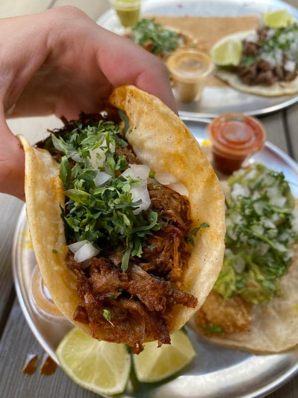 Gus Tacos