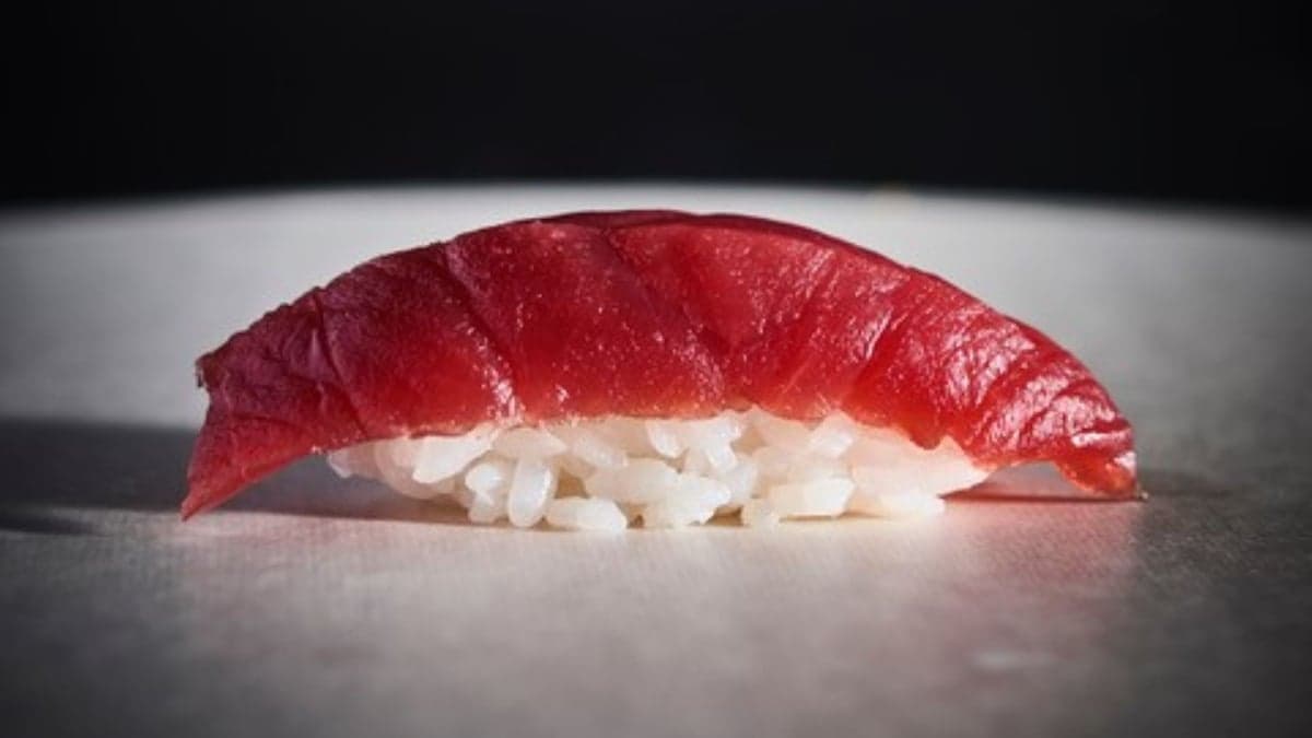 Jun I — best japanese restaurants in Montreal, Spring 2026