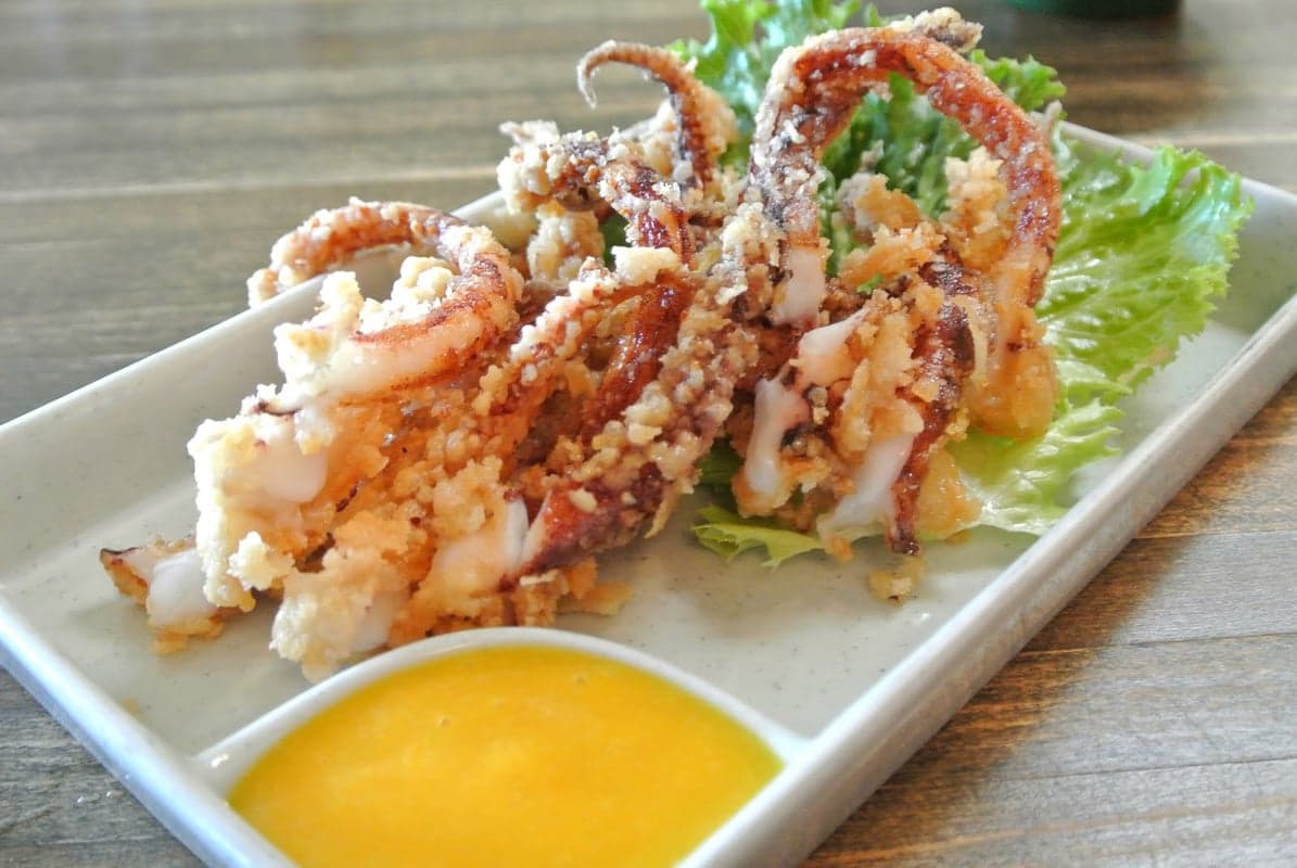 Kyoto Japanese Cuisine — best japanese restaurants in Edmonton, Spring 2026