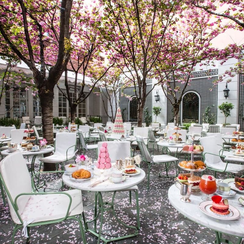 Ladurée Soho — best patios in New York, Summer 2026