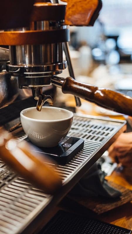 Little Wild: Coffee & Gelato — best coffee shops in Banff, Spring 2026