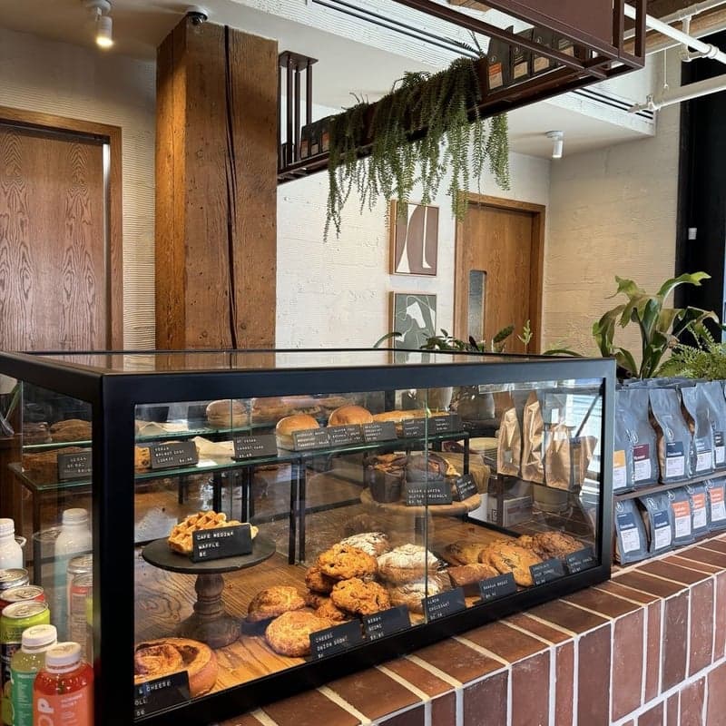 lovelarte — best rainy day spots in Vancouver, Spring 2026