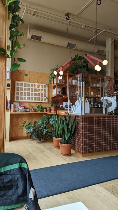 Modern Electric Lunch — best vegetarian restaurants in Winnipeg, Summer 2026