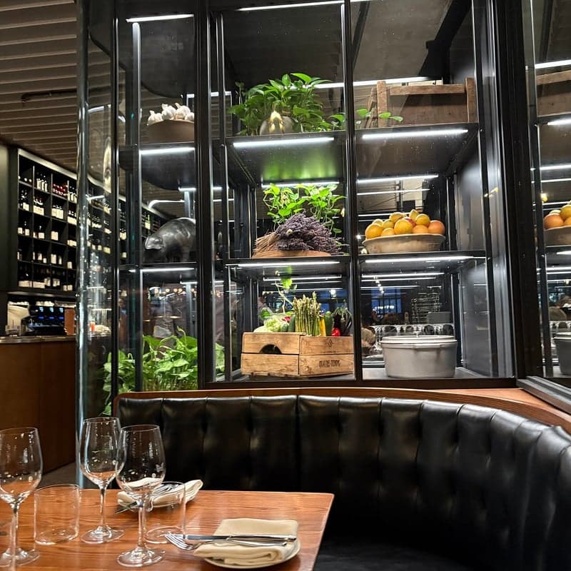 Monarque — best happy hour in Montreal, Spring 2026