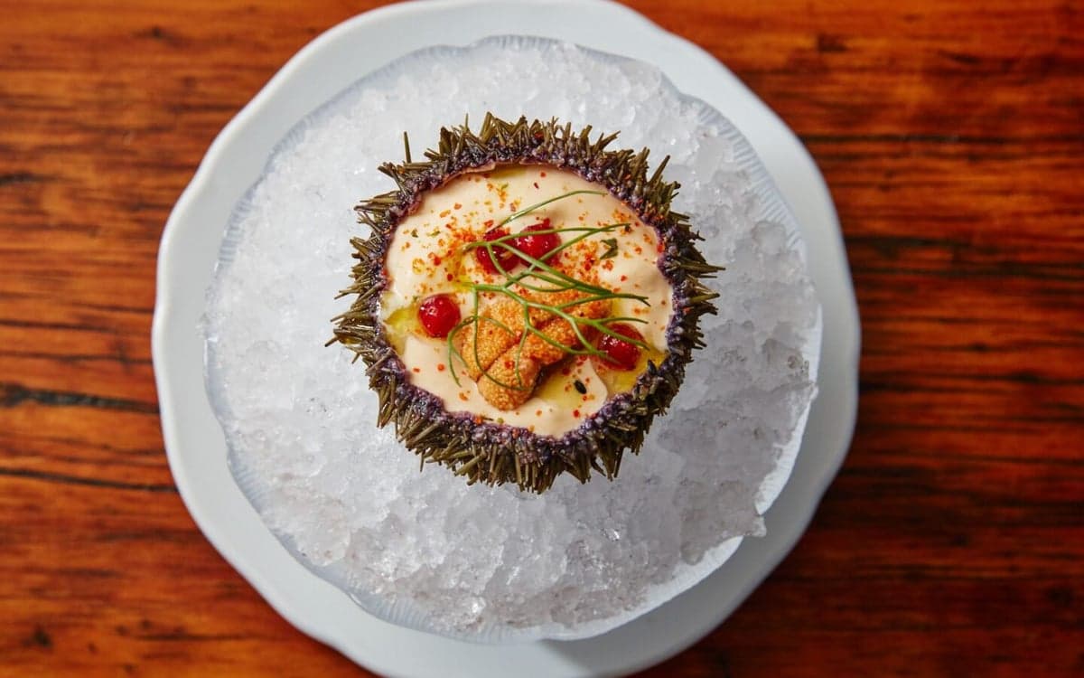 Montréal Plaza — best special occasion restaurants in Montreal, Spring 2026