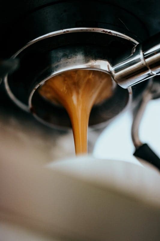 Mountain Bean Coffee Co — best coffee shops in Winnipeg, Spring 2026