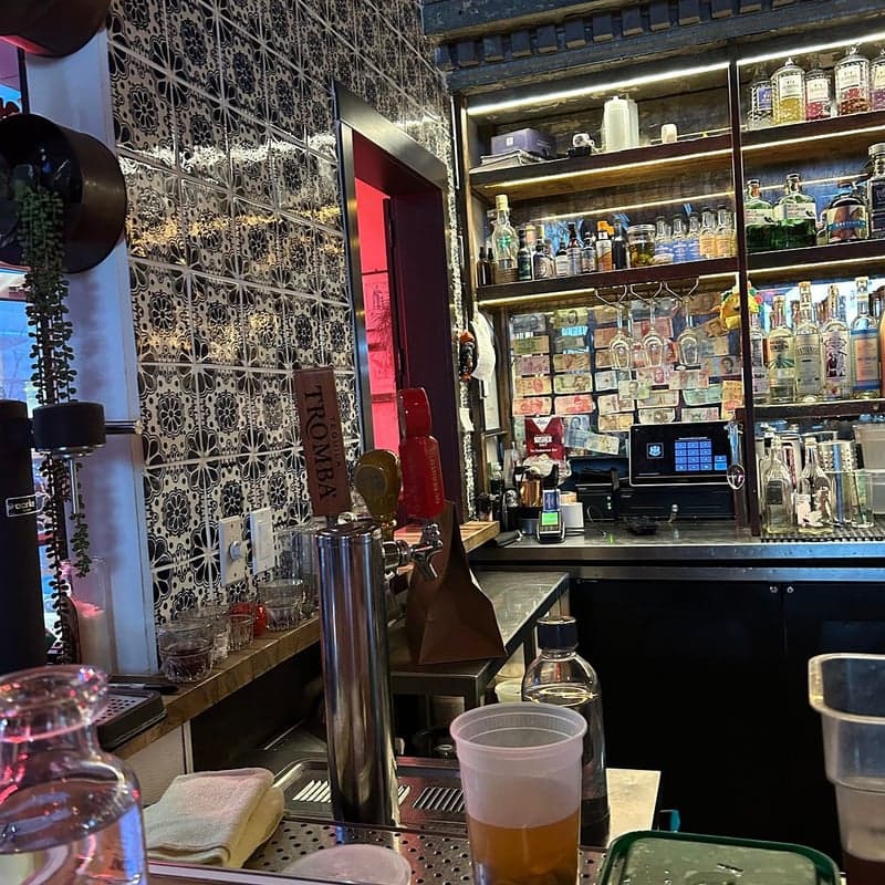 Native Tongues Taqueria - University District food