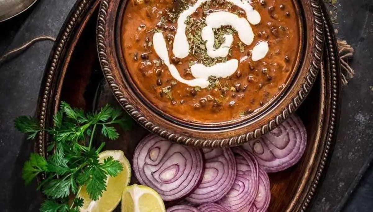 NOSH Cafe Indian Restaurant — best vegetarian restaurants in Edmonton, Spring 2026