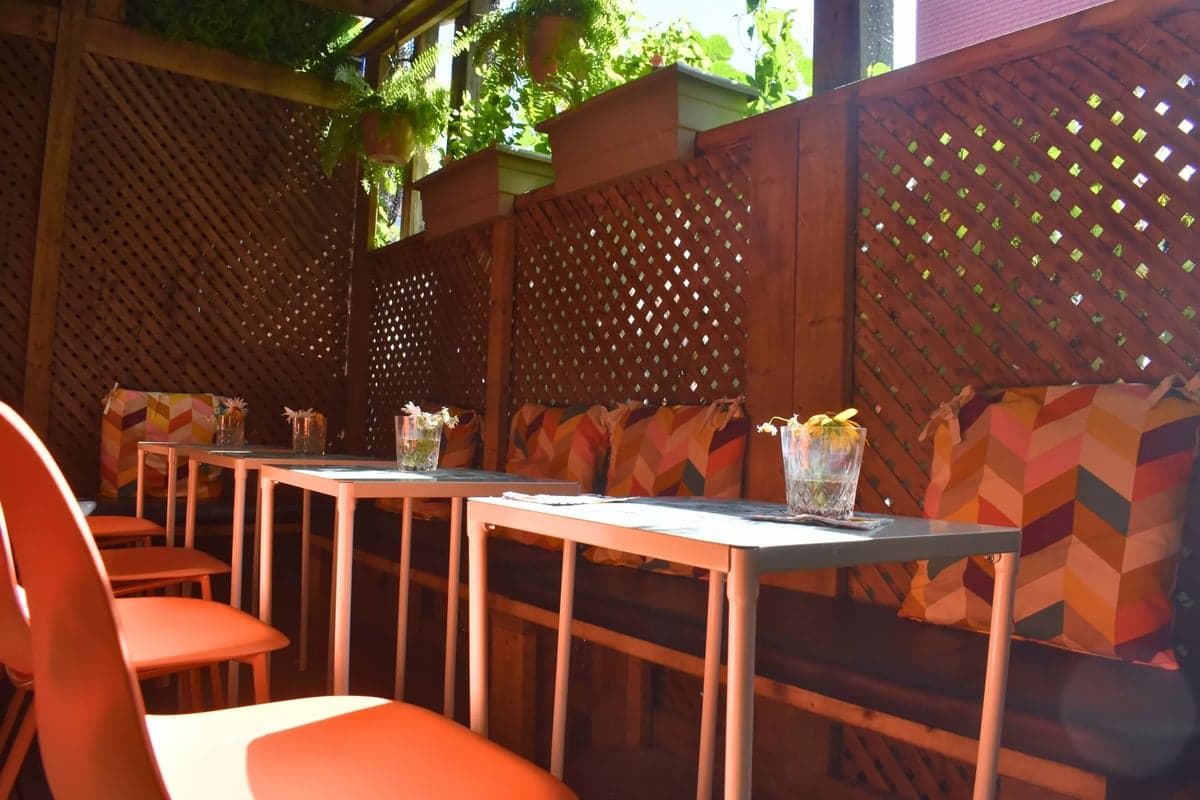 Palm Tree Kitchen — best weekday lunch in Halifax, Summer 2026