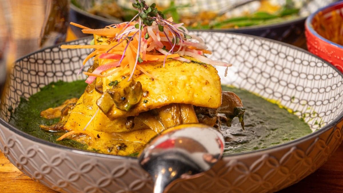 Pukka — best indian restaurants in Toronto, Spring 2026