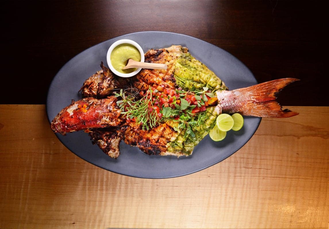 Quetzal — best restaurants in Toronto, Spring 2026