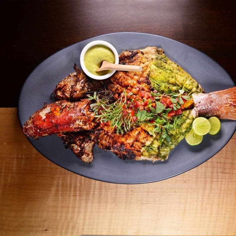 Quetzal food