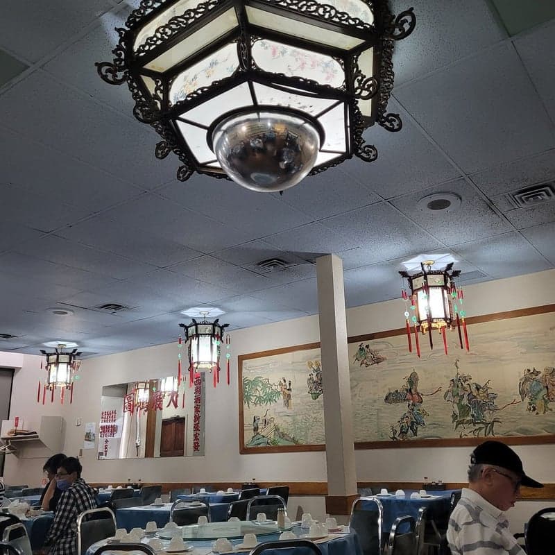 Sai Woo Garden — best chinese restaurants in Edmonton, Spring 2026