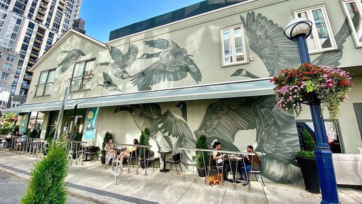 Sassafraz — best patios in Toronto, Spring 2026