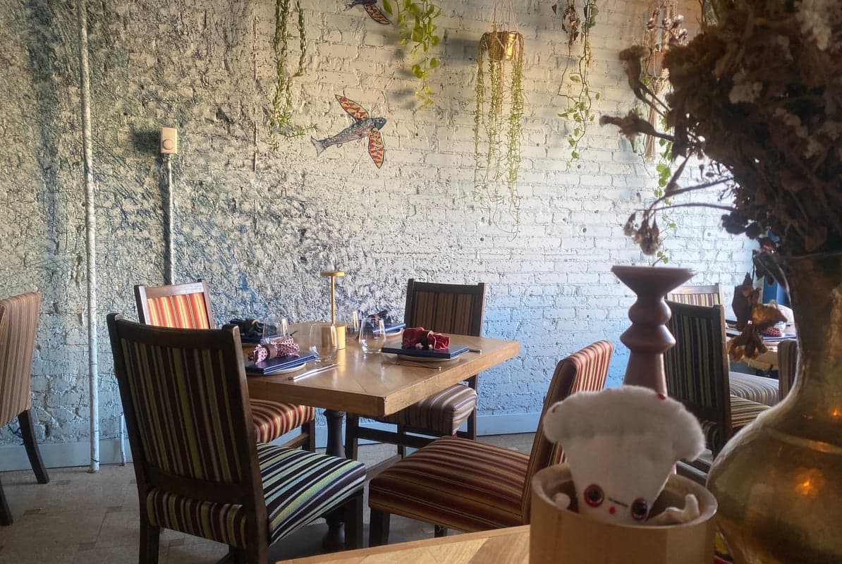Solera — best cocktail bars in Winnipeg, Summer 2026