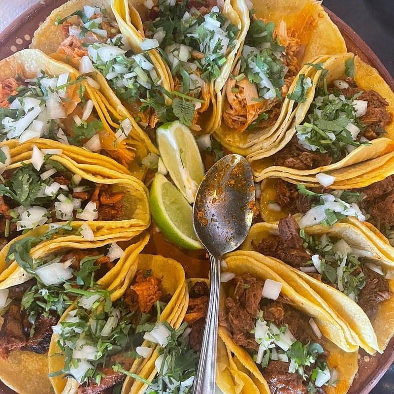 Tacos Mexico Memorial — best mexican restaurants in Calgary, Spring 2026