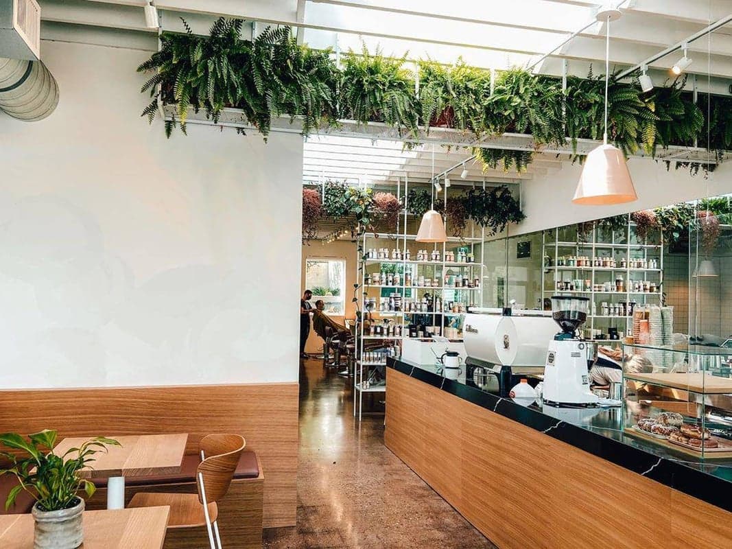 Take Care Cafe — best coffee shops in Edmonton, Spring 2026