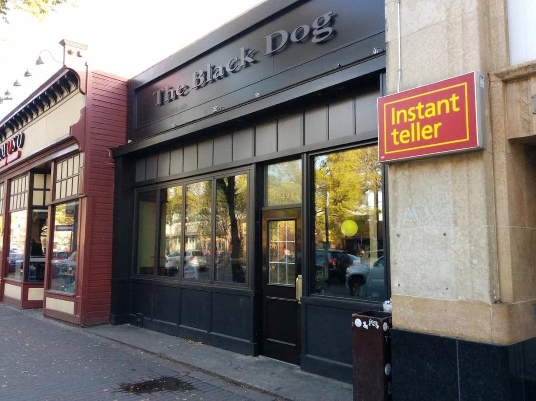 The Black Dog Freehouse — best rooftop bars in Edmonton, Spring 2026