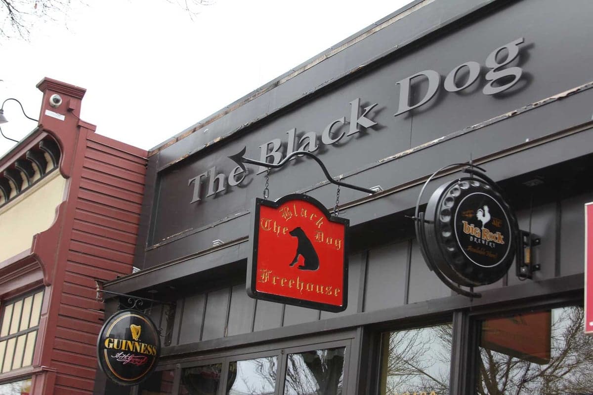 The Black Dog Freehouse food