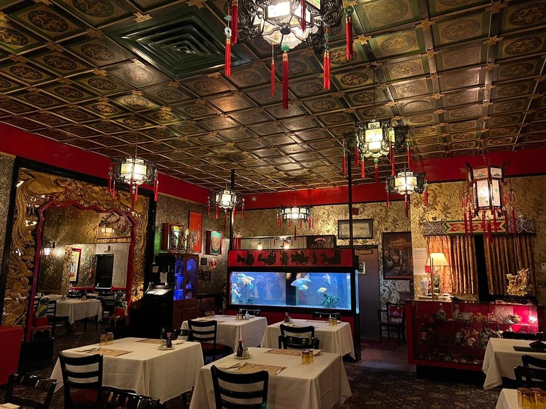 The Lingnan — best chinese restaurants in Edmonton, Spring 2026