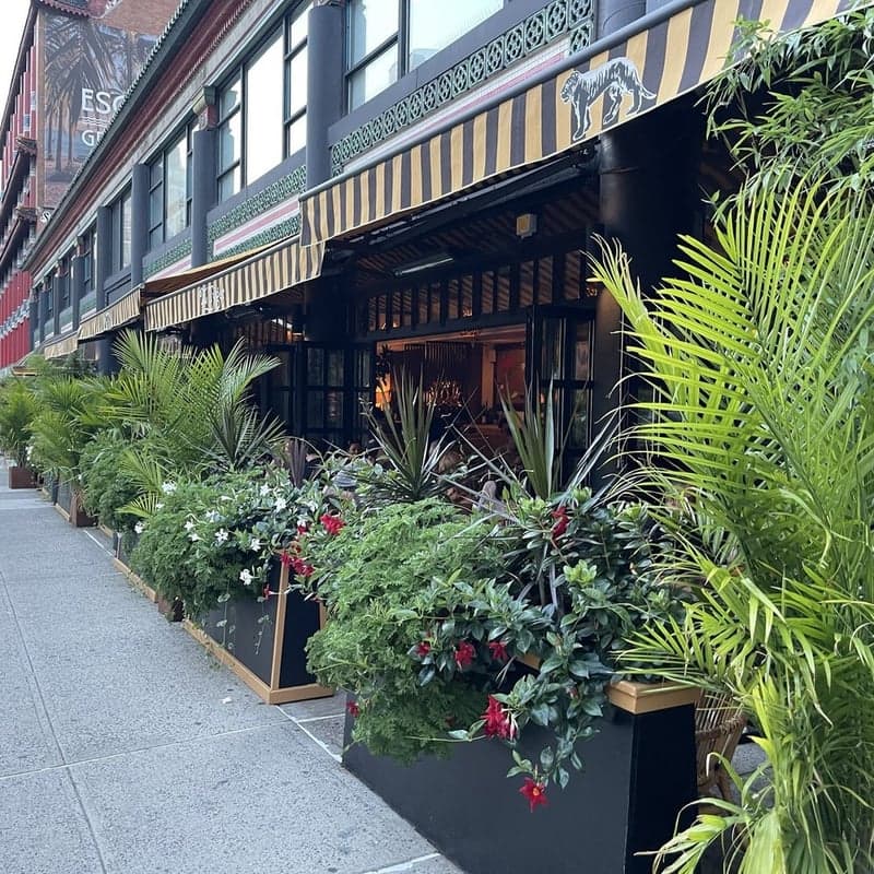 The Tyger — best patios in New York, Summer 2026