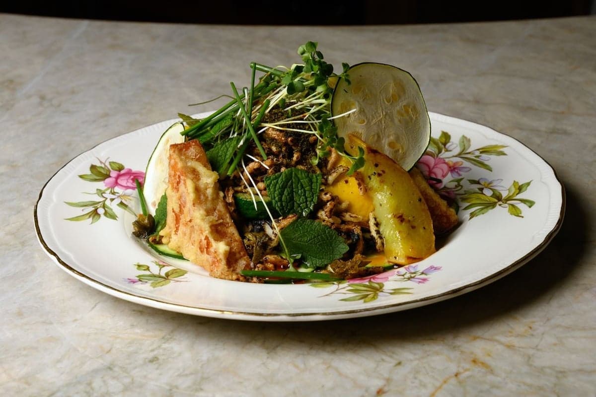 The Wood Owl — best first date restaurants in Toronto, Spring 2026