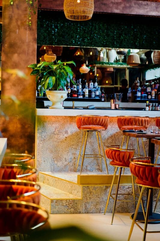 Tiamo — best italian restaurants in Montreal, Spring 2026