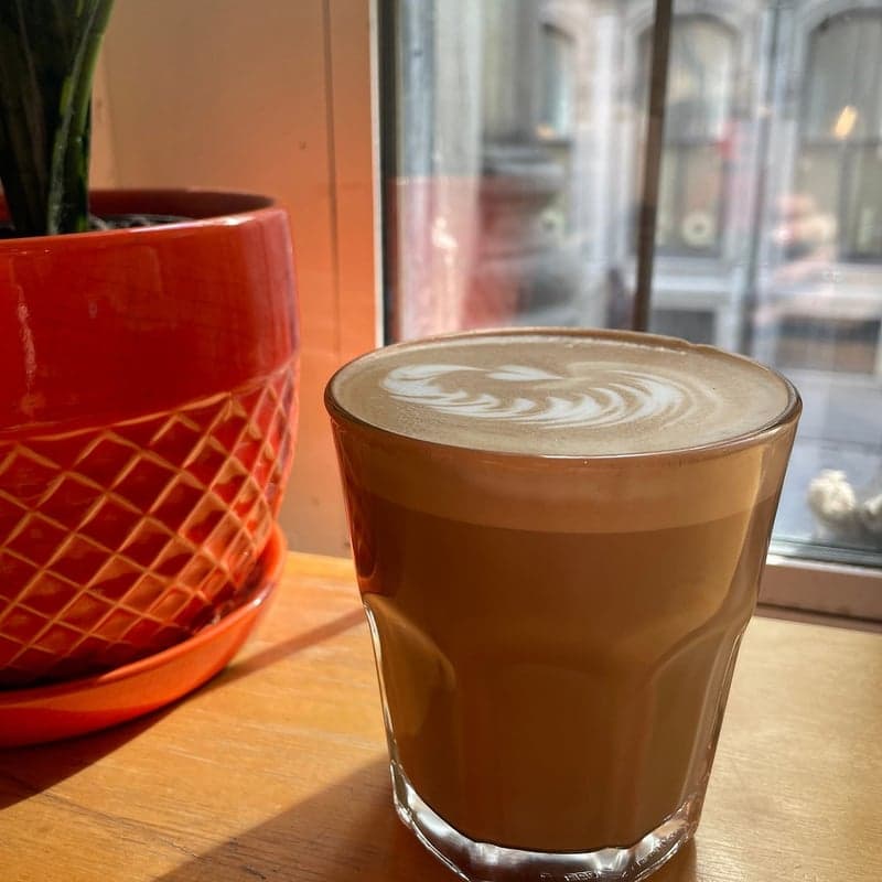 Tommy Café — best coffee shops in Montreal, Spring 2026