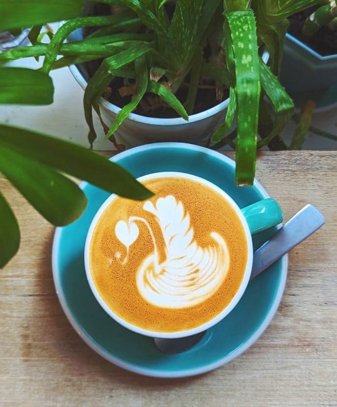Weird Harbour Espresso Bar — best coffee shops in Halifax, Summer 2026