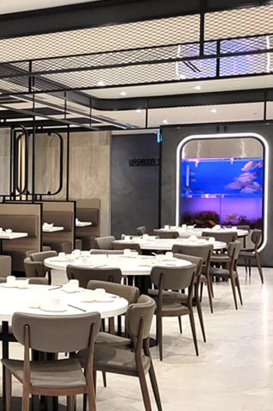 Wok Theory — best dim sum in Toronto, Spring 2026
