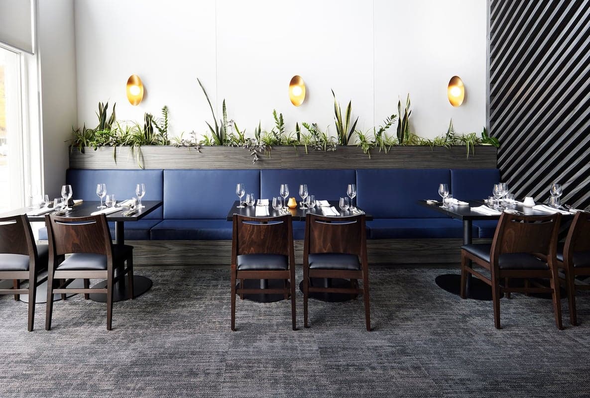 Coconut Lagoon — best indian restaurants in Ottawa, Spring 2026