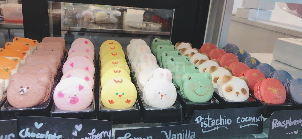 Creamy Rainbow Bakery and Cafe — best bakeries in Halifax, Summer 2026