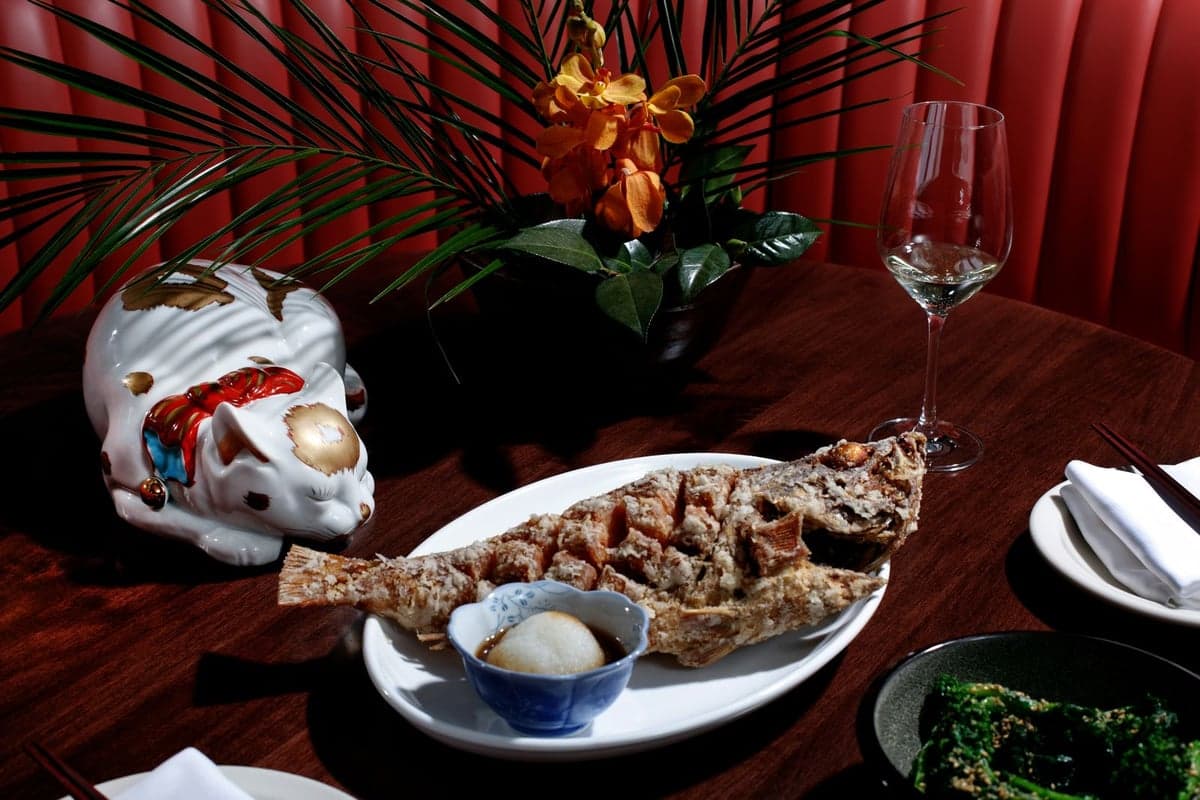 Kissa Tanto food